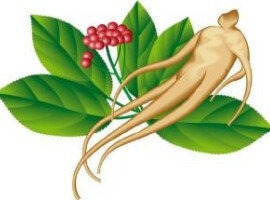Το ginseng